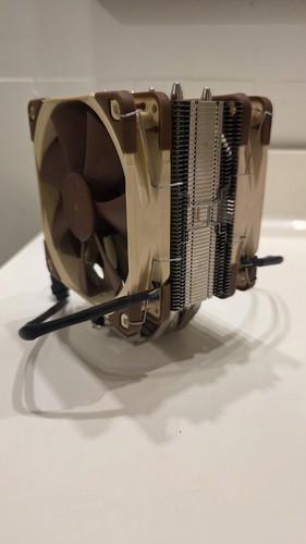 Excellent brown noctua - noctua, nh-u12s